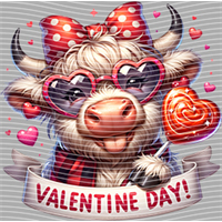 Valentine's Day-QRJ  5275